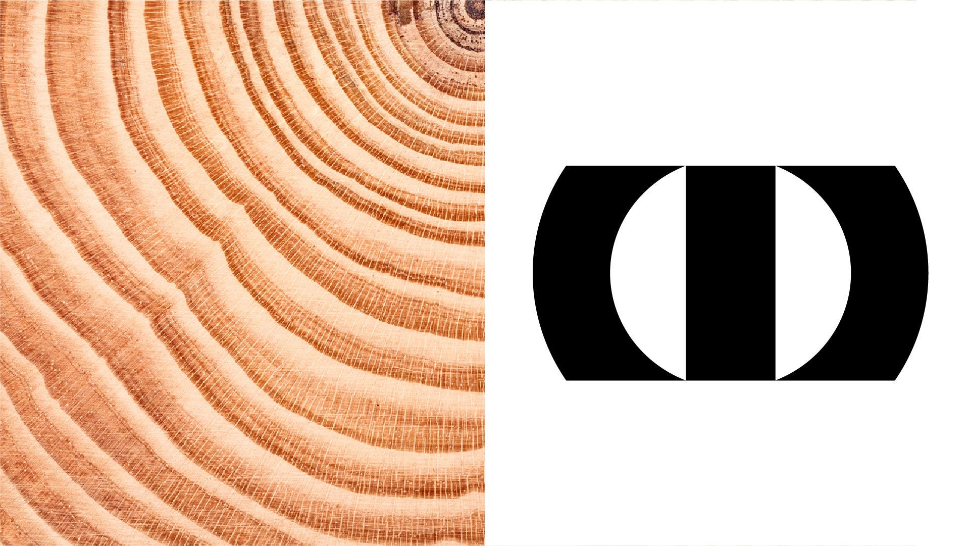 Close-up of a tree trunk cross-section showing concentric growth rings on the left side, contrasted with a minimalist black and white geometric graphic on the right, symbolizing the passage of time and structural transformation.